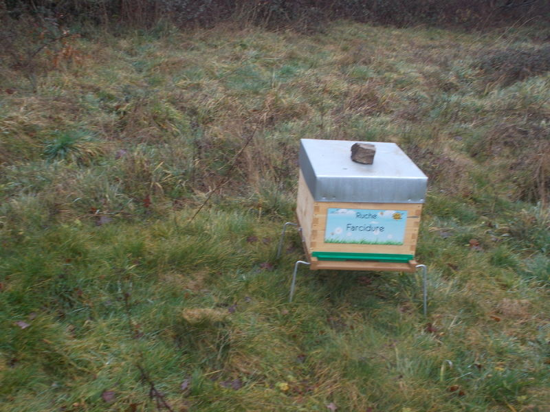 La ruche Farcidure