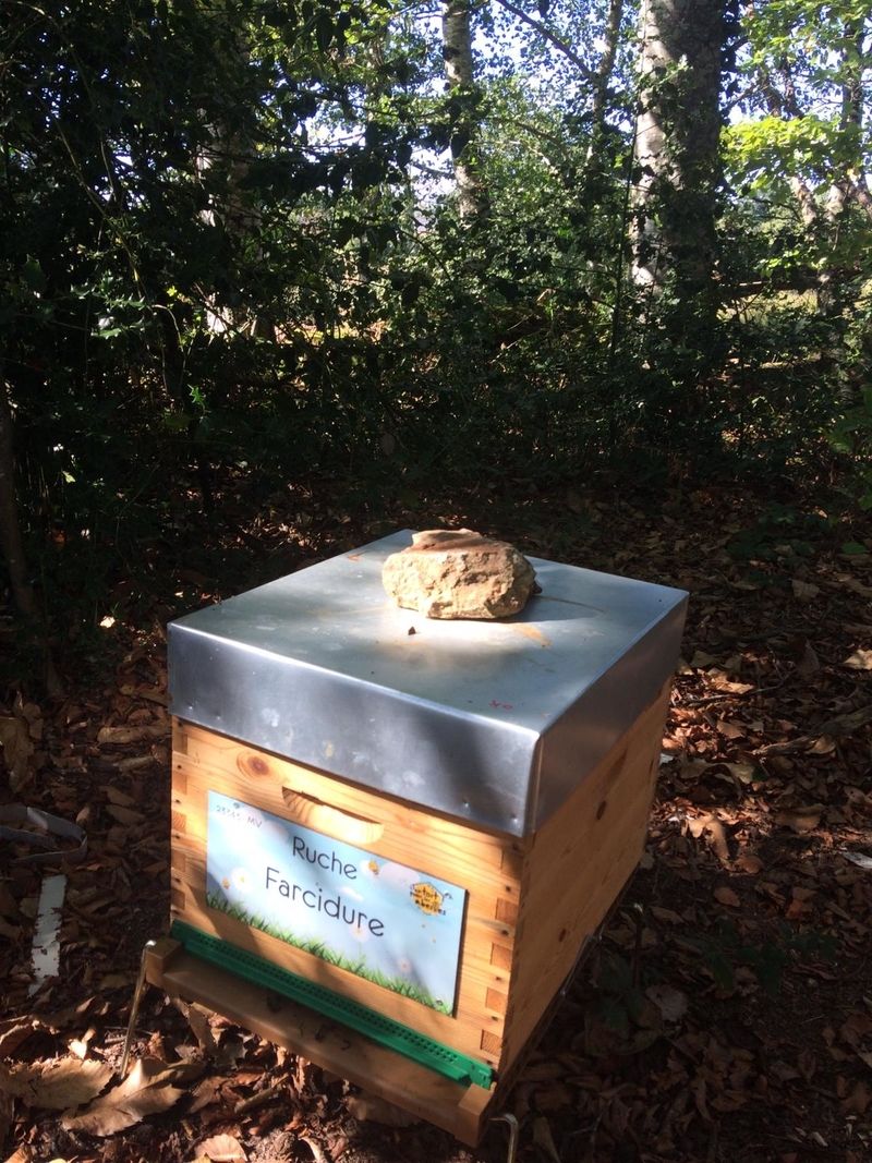 La ruche Farcidure