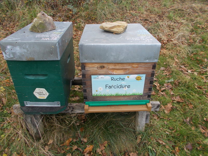 La ruche Farcidure