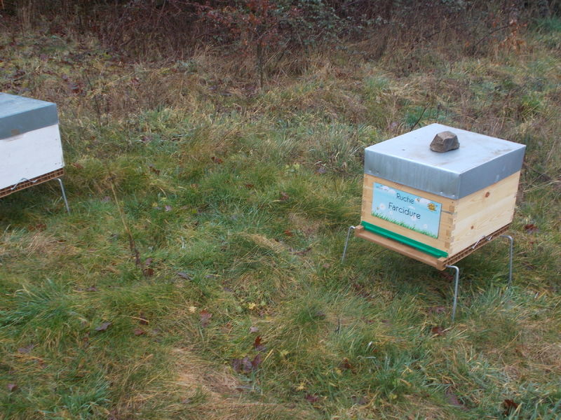 La ruche Farcidure