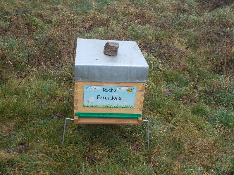 La ruche Farcidure