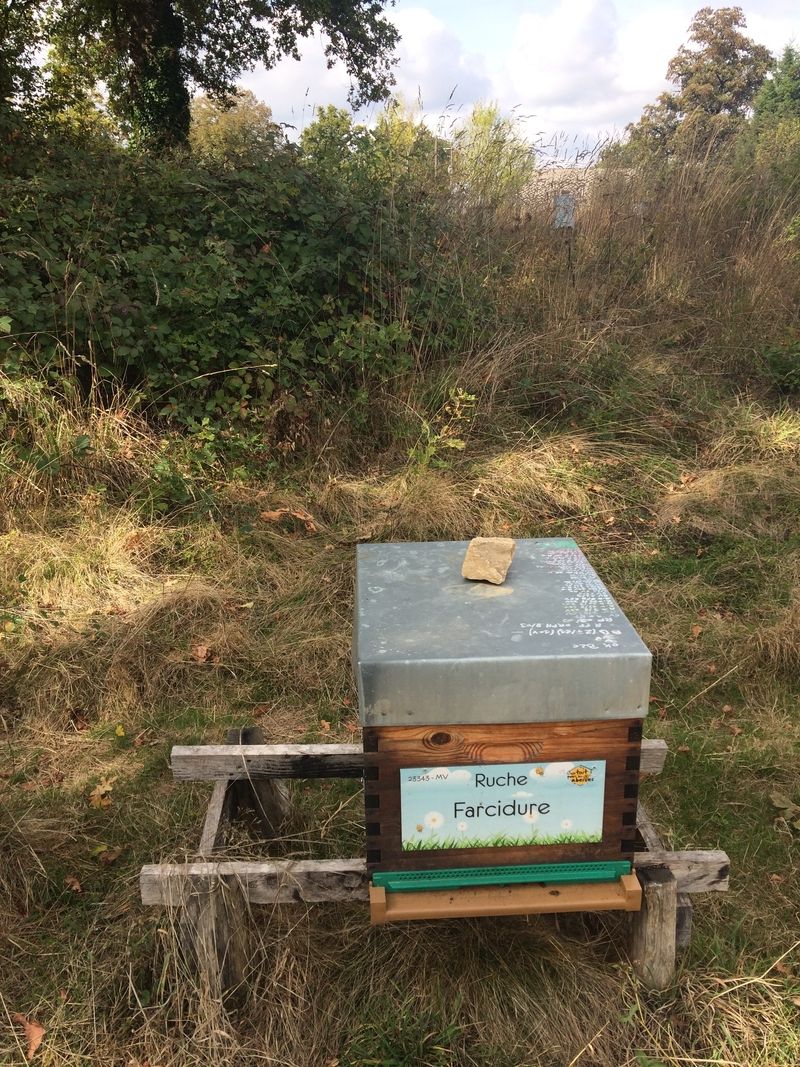 La ruche Farcidure