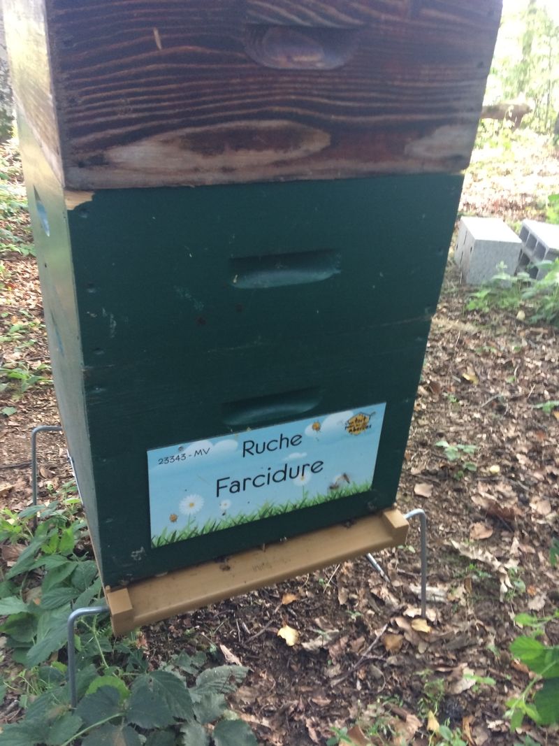 La ruche Farcidure