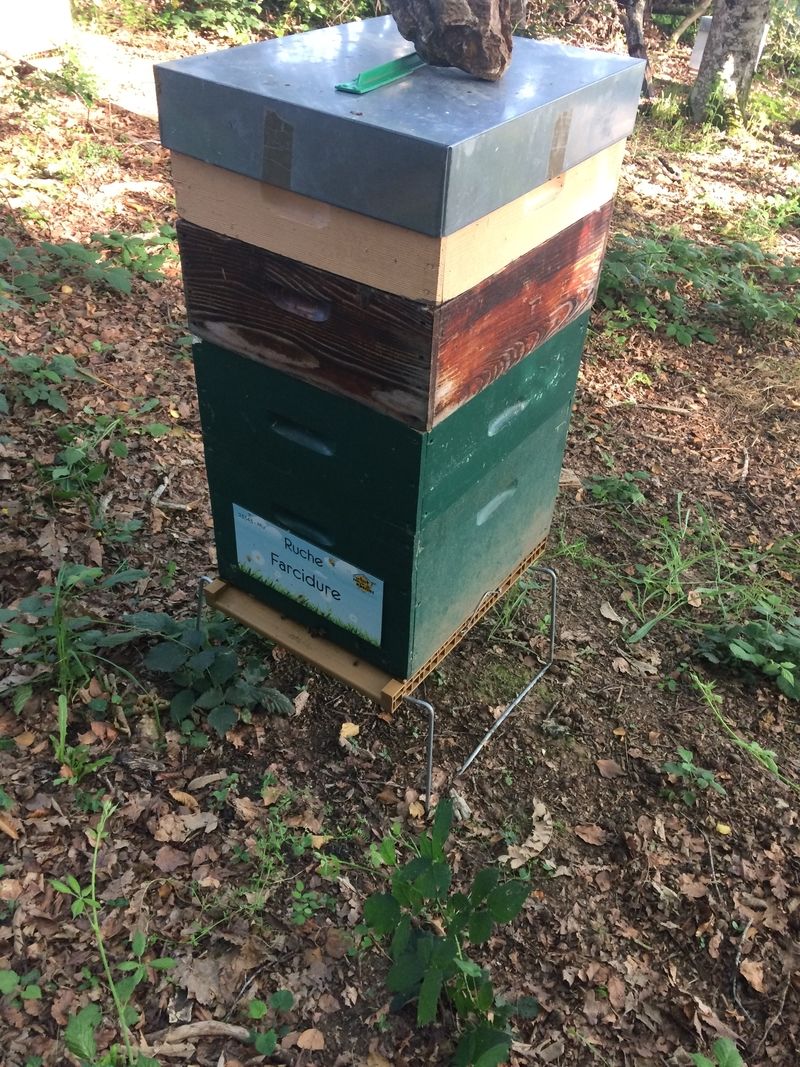 La ruche Farcidure