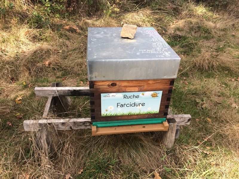 La ruche Farcidure