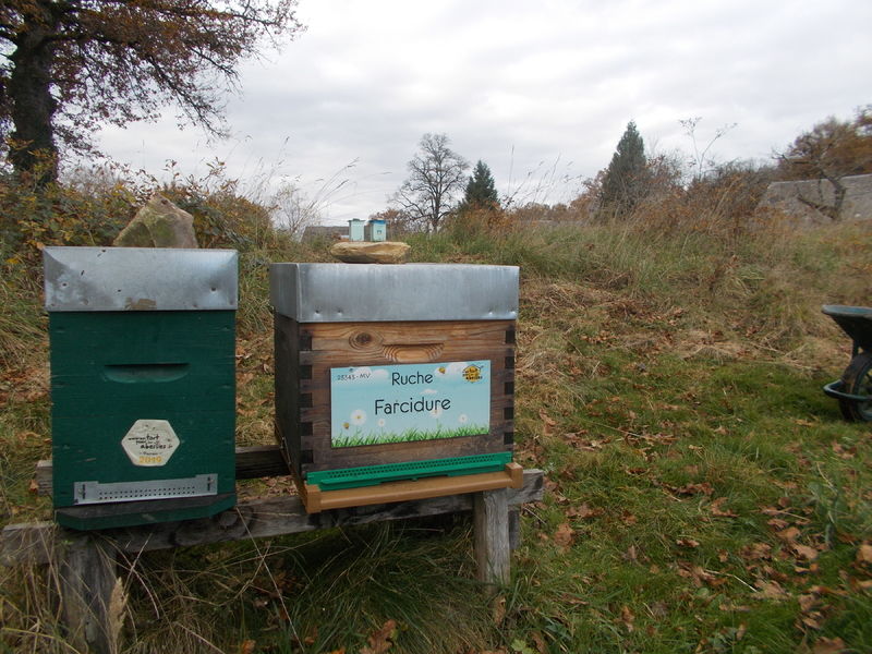 La ruche Farcidure