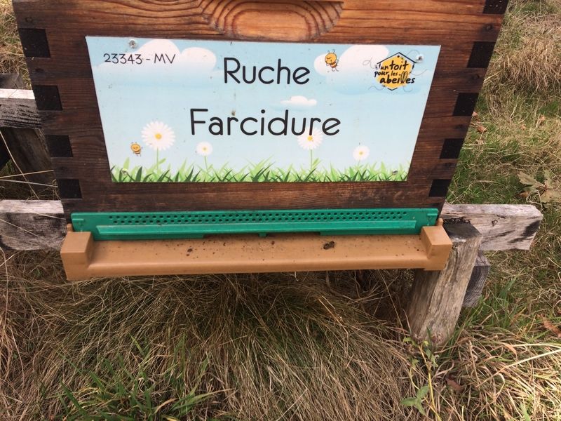 La ruche Farcidure