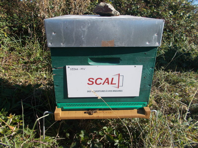 La ruche SCAL