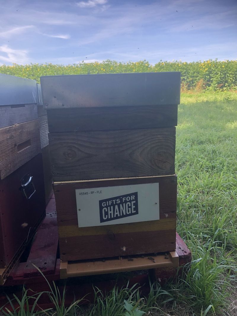 La ruche GIFTS FOR CHANGE