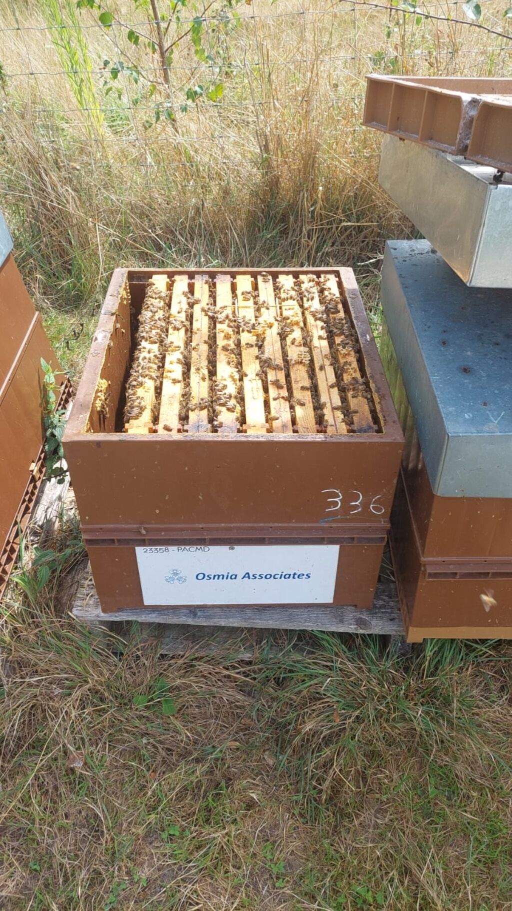La ruche Osmia Associates