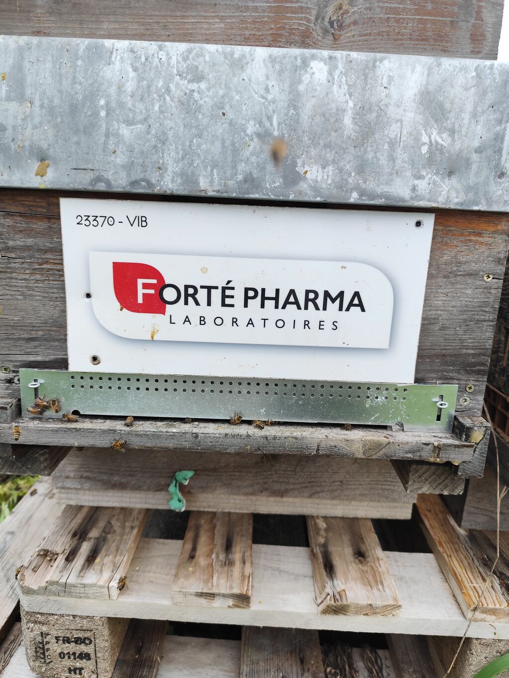 La ruche Laboratoires FORTEPHARMA