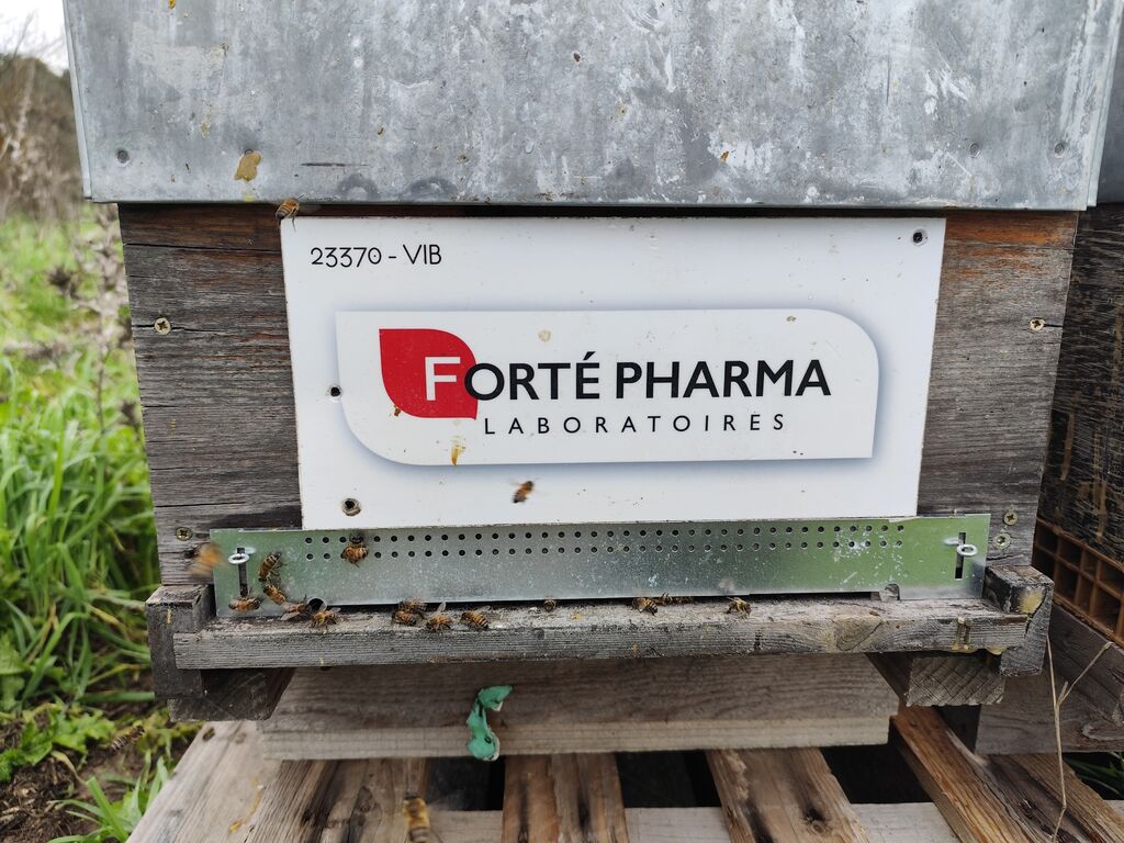 La ruche Laboratoires FORTEPHARMA