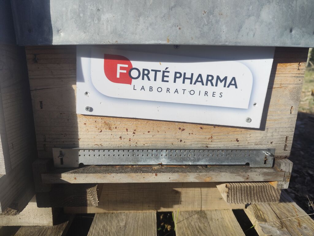 La ruche Laboratoires FORTEPHARMA
