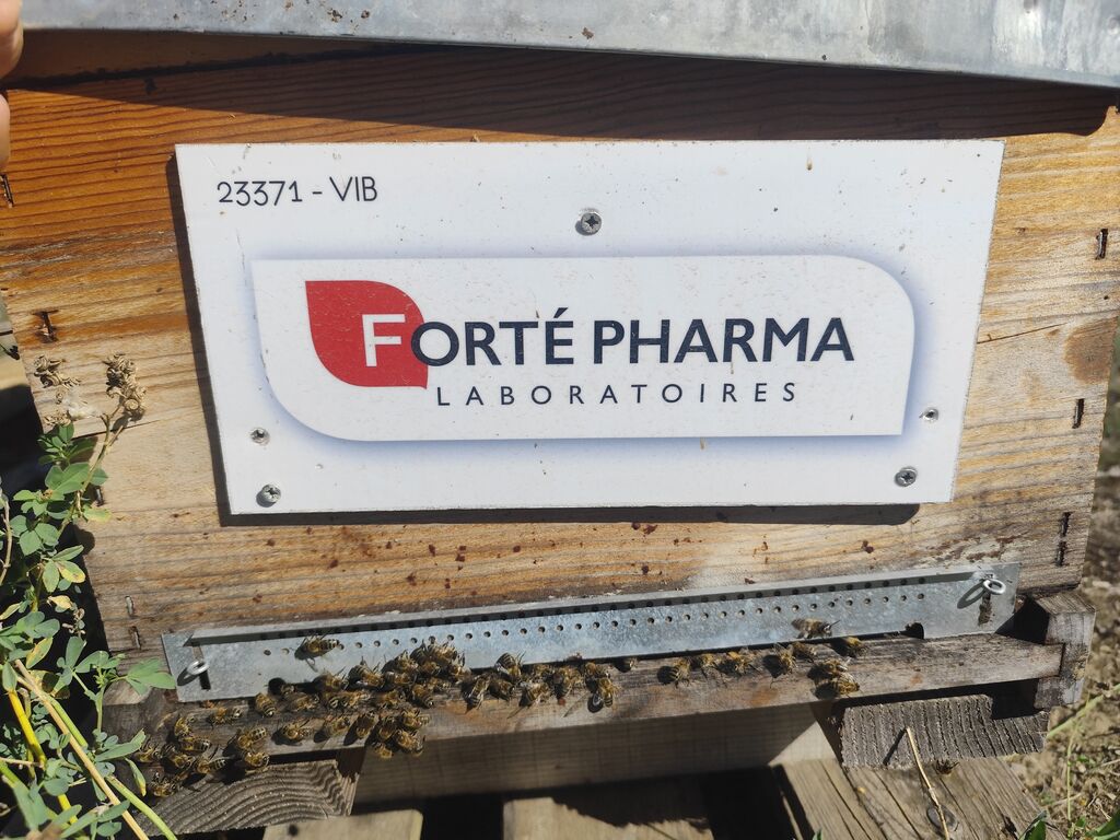 La ruche Laboratoires FORTEPHARMA