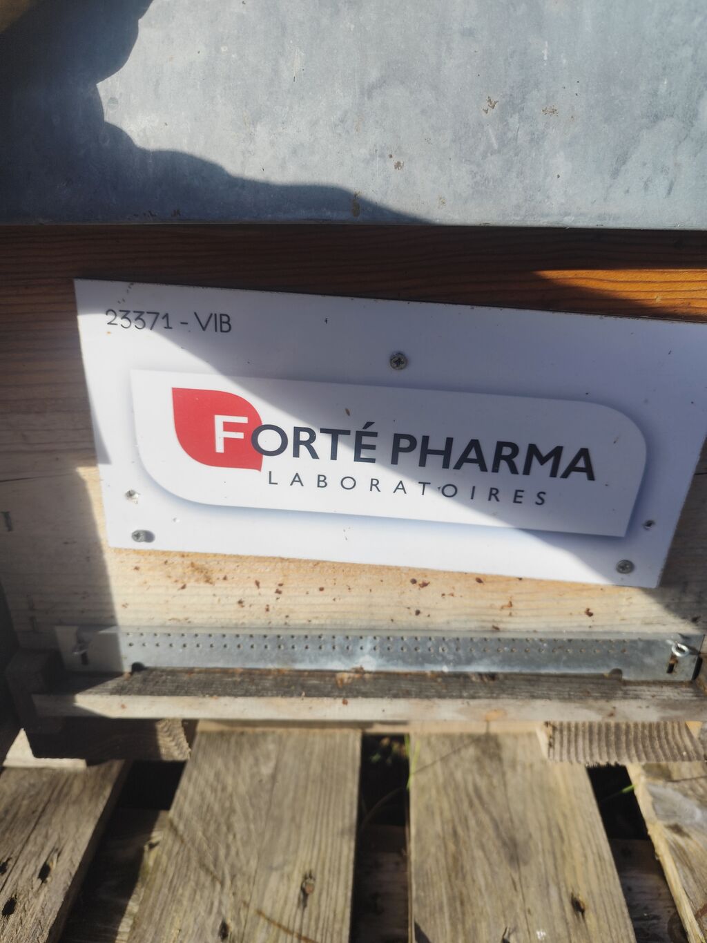 La ruche Laboratoires FORTEPHARMA