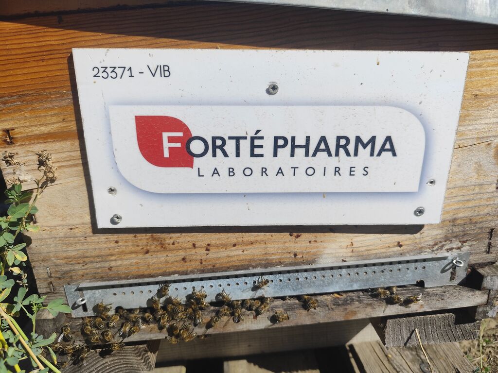 La ruche Laboratoires FORTEPHARMA