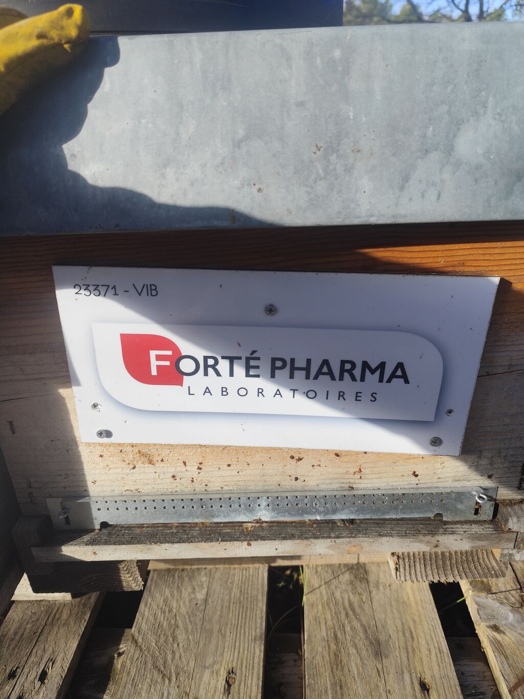 La ruche Laboratoires FORTEPHARMA