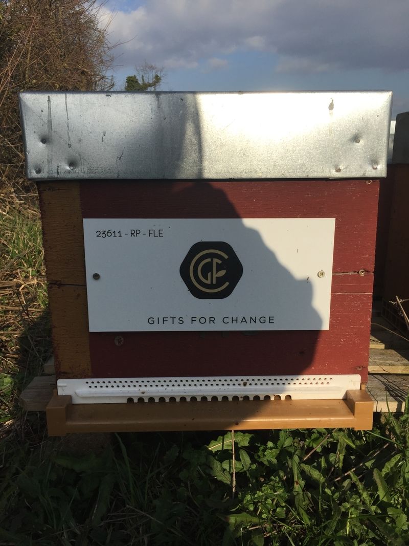 La ruche GIFTS FOR CHANGE