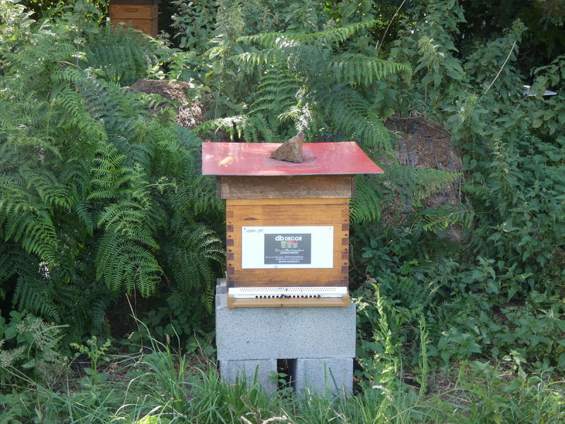 La ruche Artisan peintre DB decor