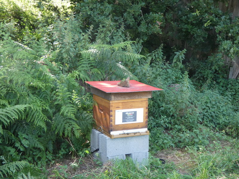 La ruche Artisan peintre DB decor