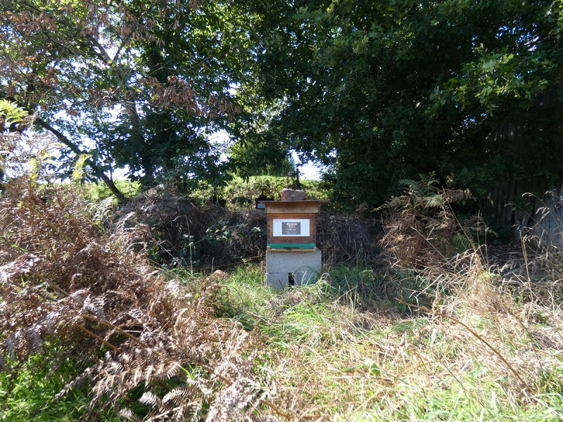 La ruche Artisan peintre DB decor