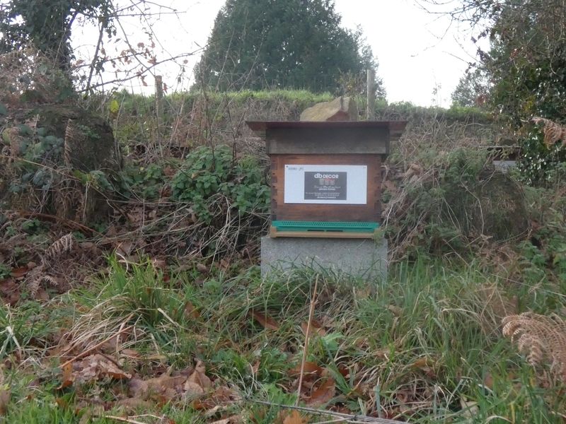 La ruche Artisan peintre DB decor