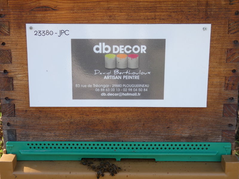 La ruche Artisan peintre DB decor