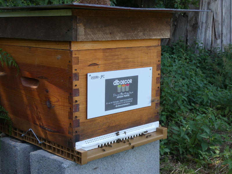 La ruche Artisan peintre DB decor