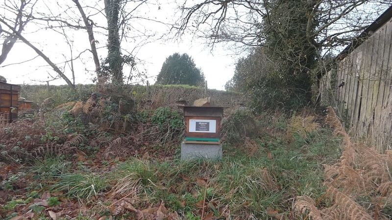 La ruche Artisan peintre DB decor