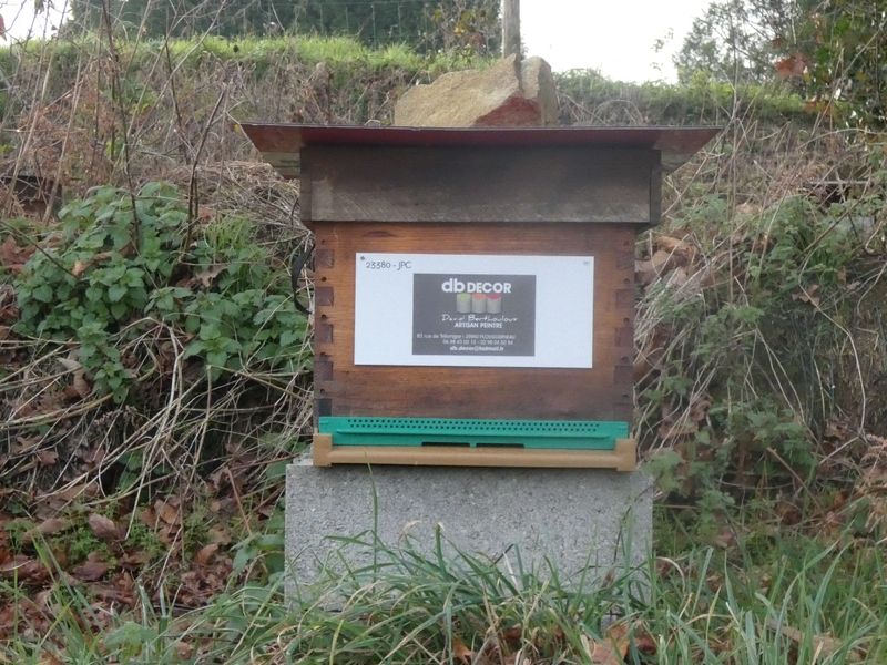 La ruche Artisan peintre DB decor