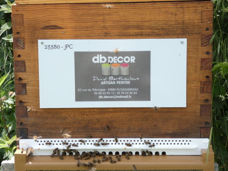 La ruche Artisan peintre DB decor