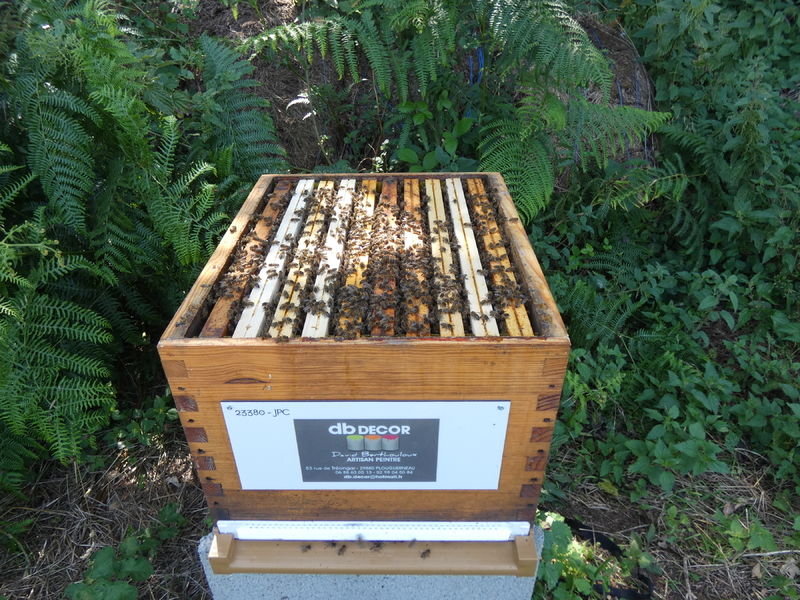 La ruche Artisan peintre DB decor