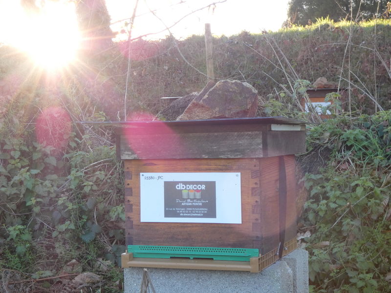 La ruche Artisan peintre DB decor