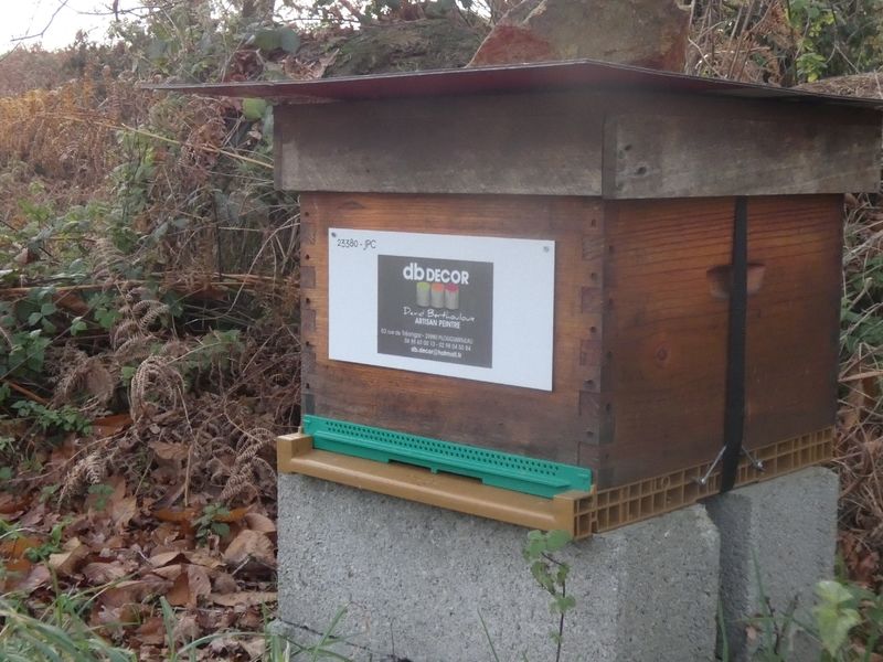 La ruche Artisan peintre DB decor