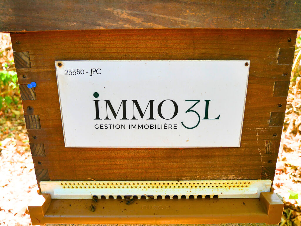 La ruche IMMO 3L