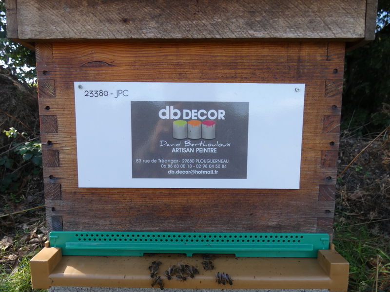La ruche Artisan peintre DB decor