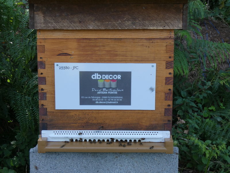 La ruche Artisan peintre DB decor