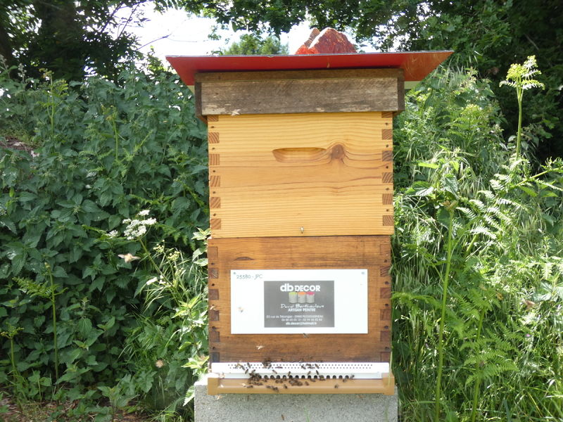 La ruche Artisan peintre DB decor