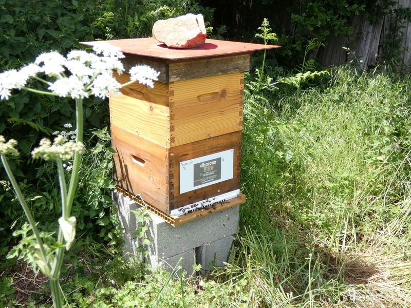 La ruche Artisan peintre DB decor