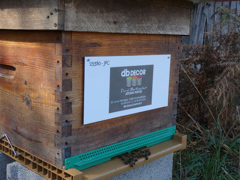 La ruche Artisan peintre DB decor