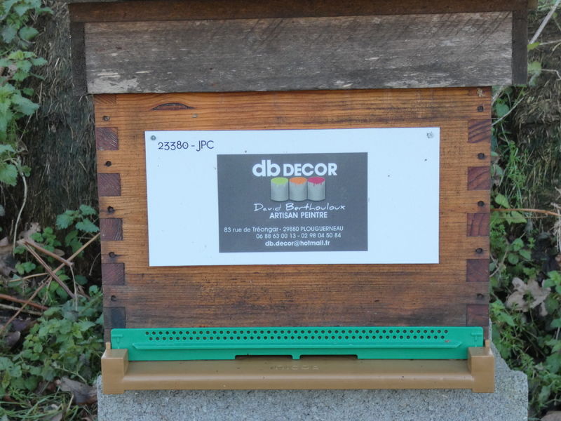 La ruche Artisan peintre DB decor