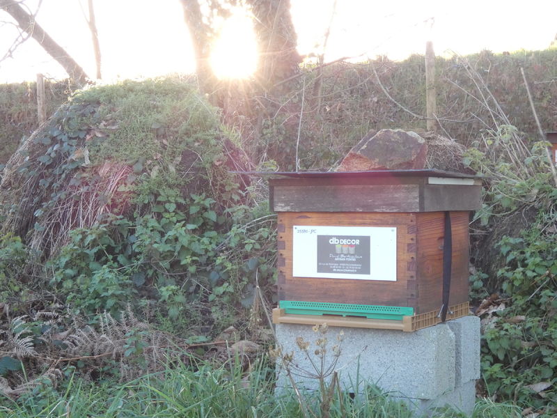 La ruche Artisan peintre DB decor