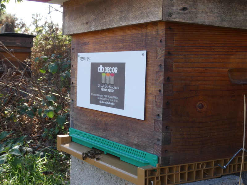 La ruche Artisan peintre DB decor