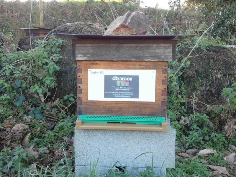 La ruche Artisan peintre DB decor