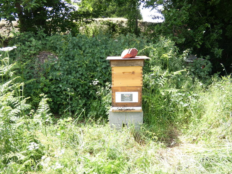 La ruche Artisan peintre DB decor