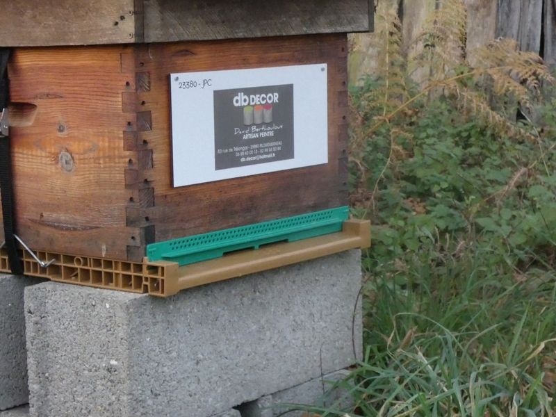 La ruche Artisan peintre DB decor