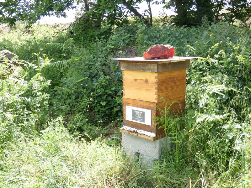 La ruche Artisan peintre DB decor