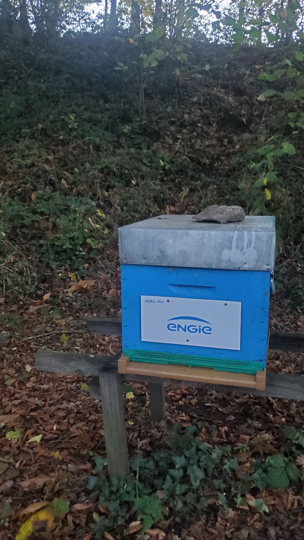 La ruche ENGIE - MPPA