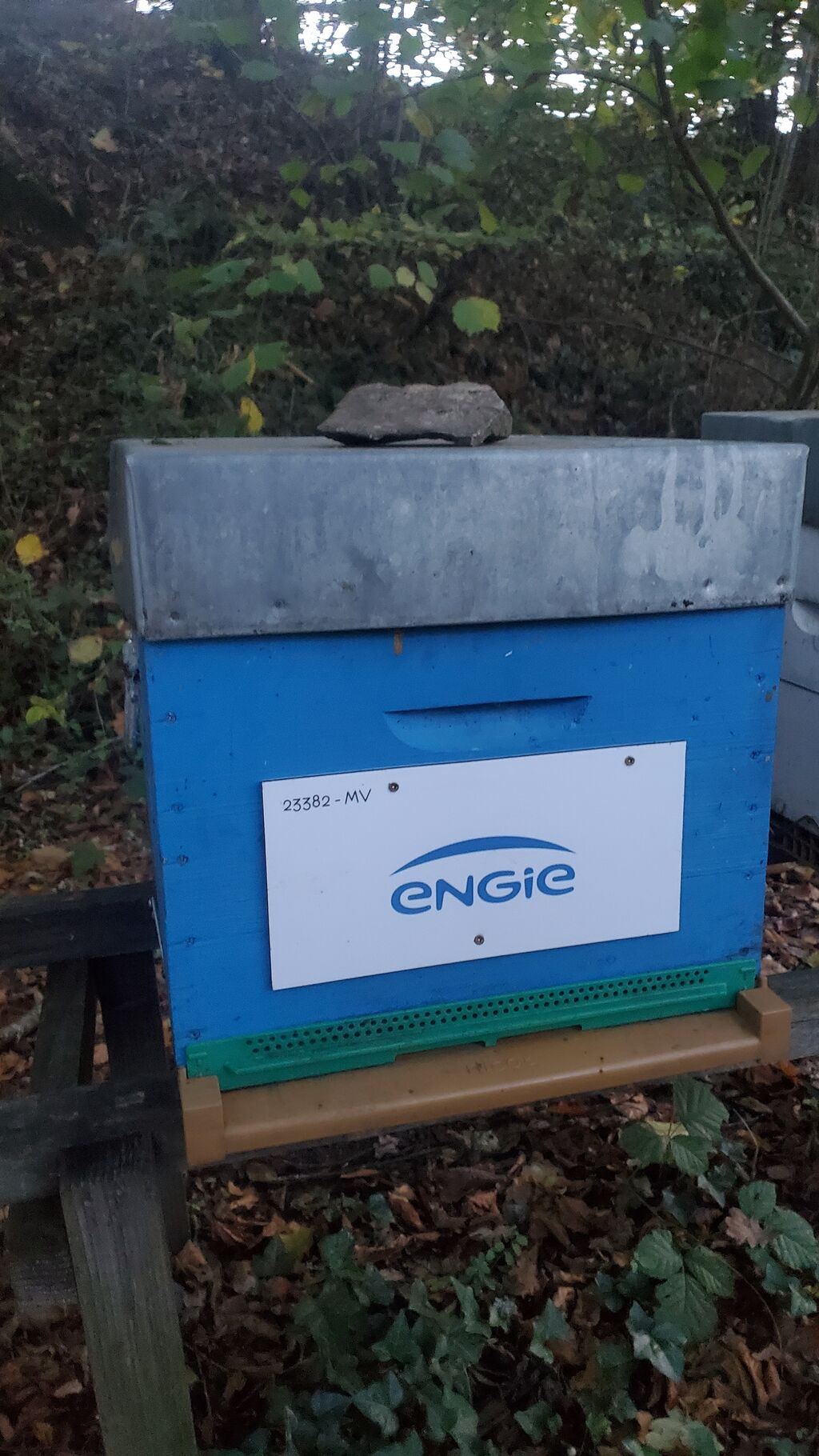 La ruche ENGIE - MPPA