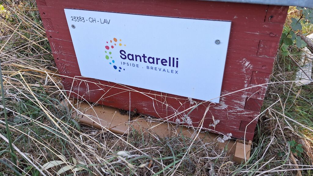 La ruche Santarelli